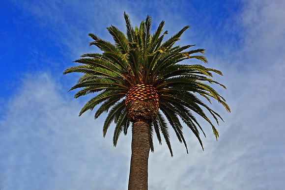 25008725128_f8e36536fd_o