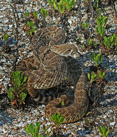 8619989767_2097d764da_o