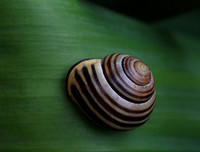 6043115349_e6ddc6ca47_o (1)