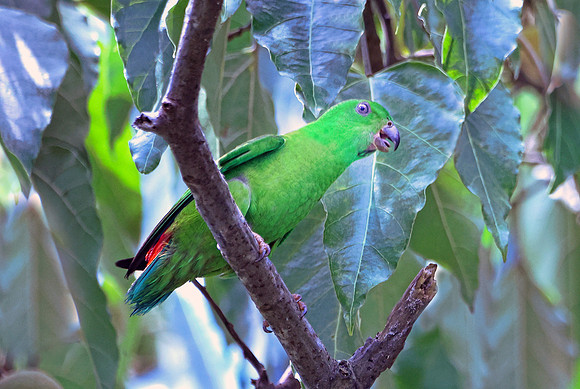 0N4A4131