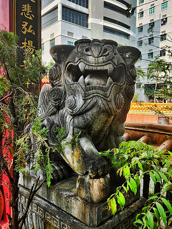 Lion