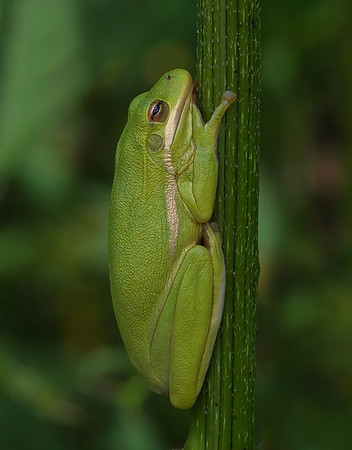 5509912703_5f99a0996a_o