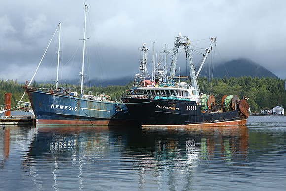 297A6274