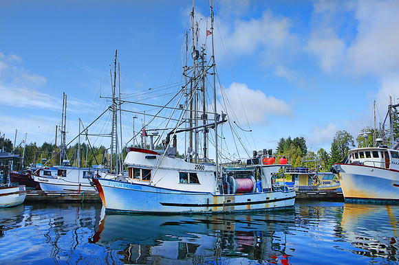 297A6294
