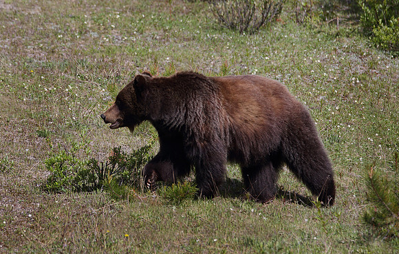 27699509165_cb10f68287_o