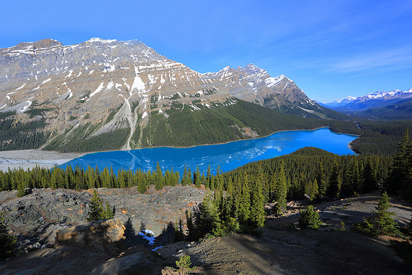 Peyto Lake